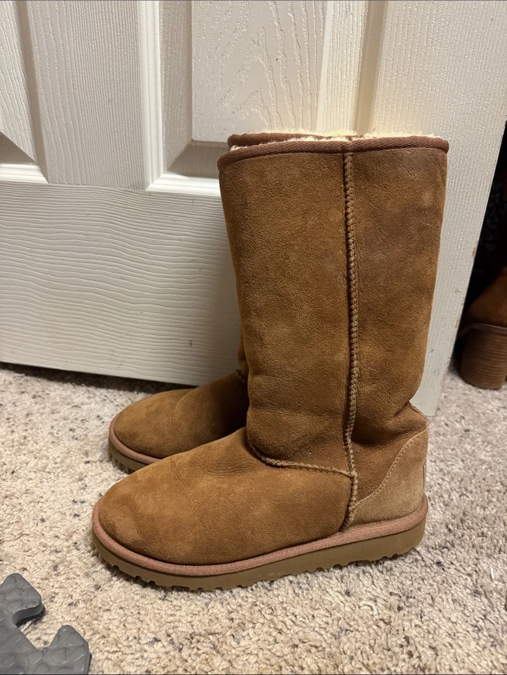 UGG Kids Chestnut Suede Mid-Calf Boots